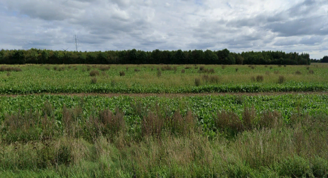 Denmark renewable-energy project